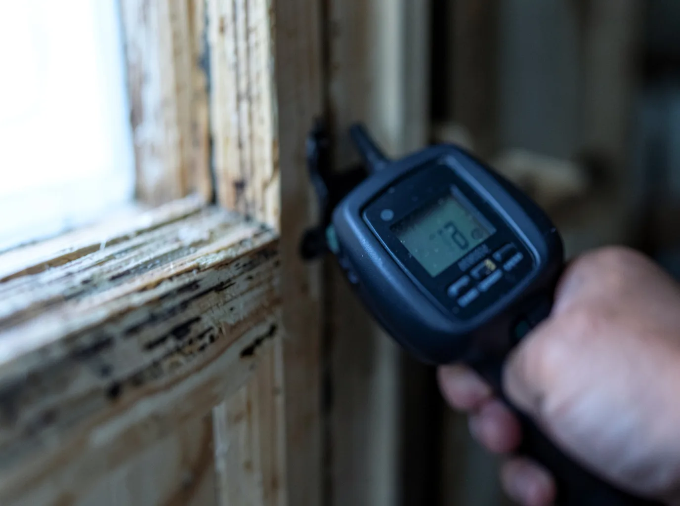 Commercial Water Damage Restoration in Wolfe City, TX